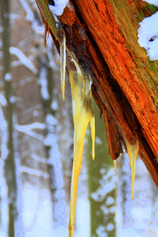 eis und harz