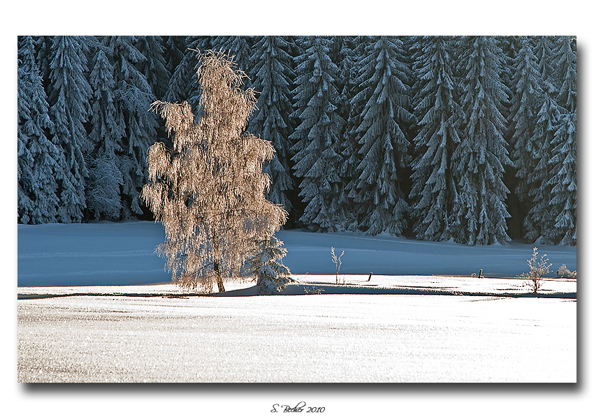 Eis und Licht