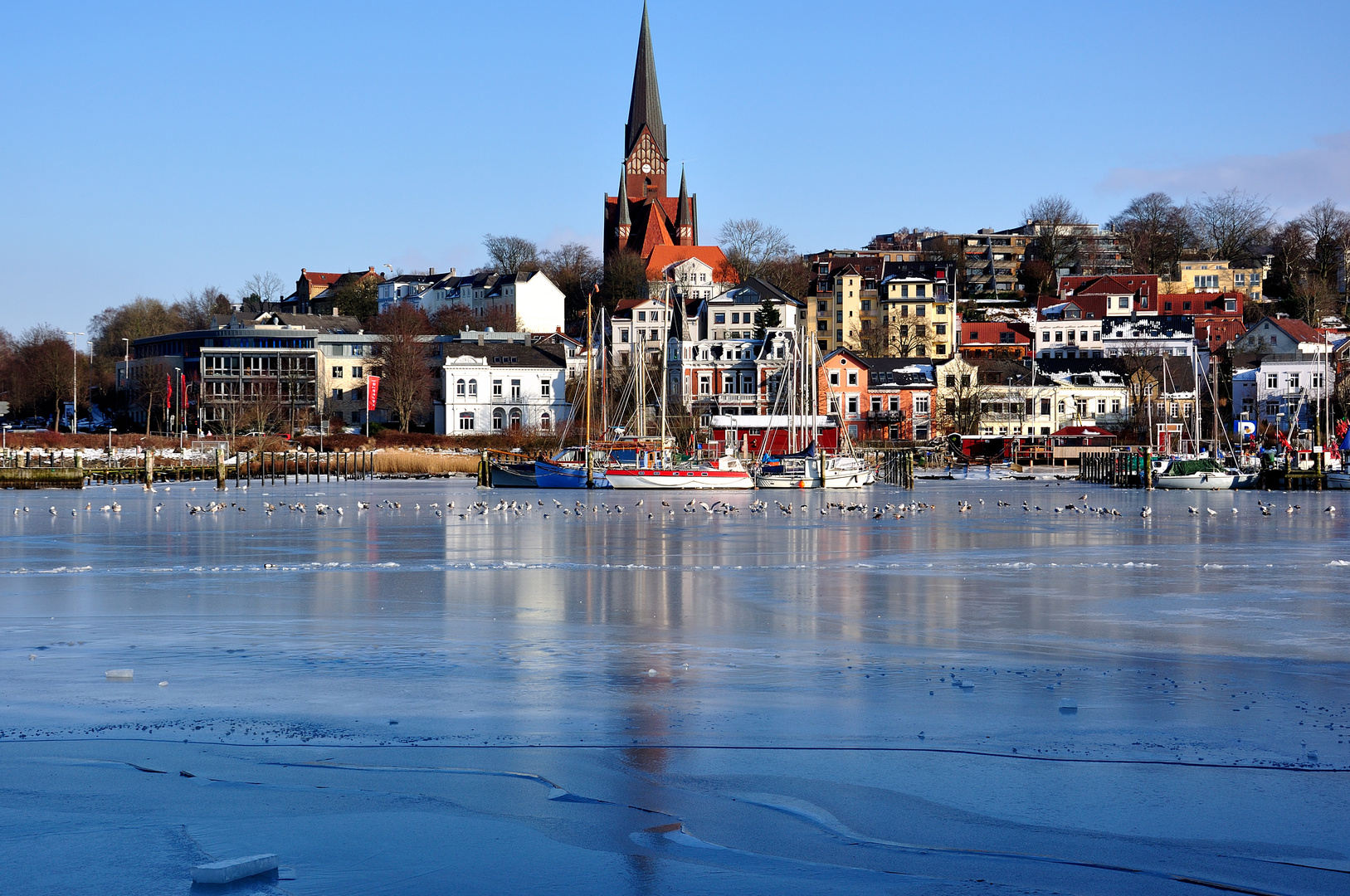 Eis und Möwen