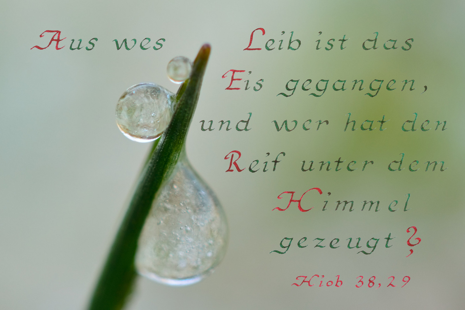 Eis und Reif