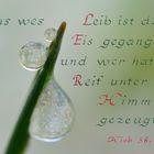 Eis und Reif