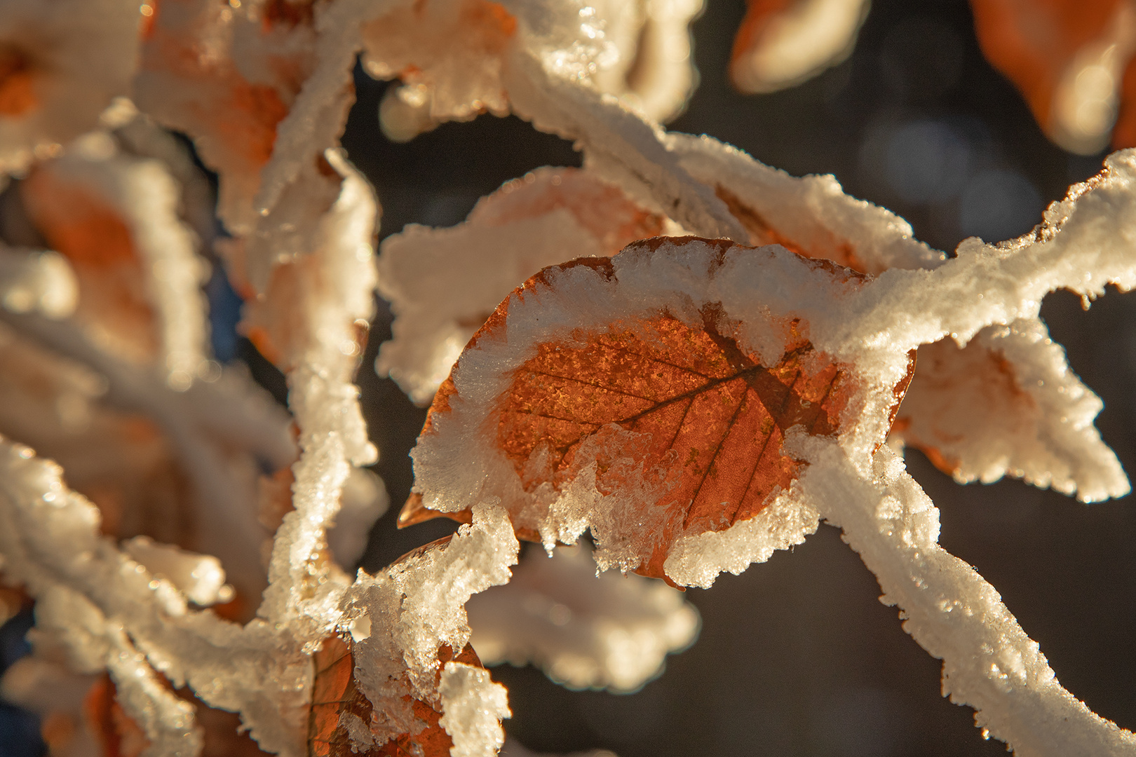 Eis und Schnee