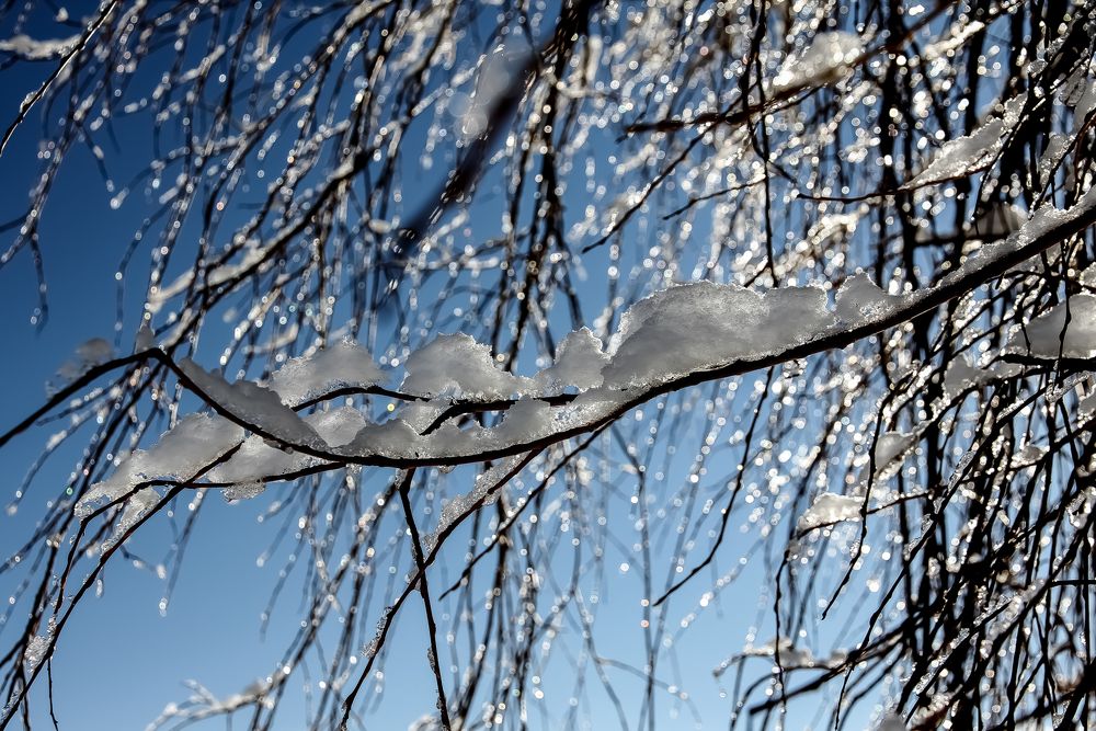 Eis und Schnee Foto &amp; Bild jahreszeiten, winter, bäume u