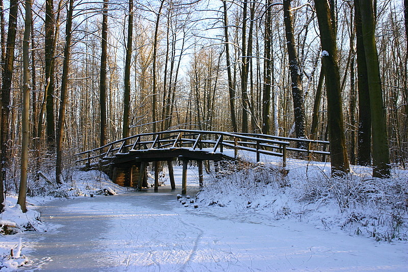 Eis und Schnee bei uns im Spreewald