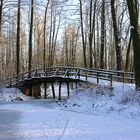 Eis und Schnee bei uns im Spreewald