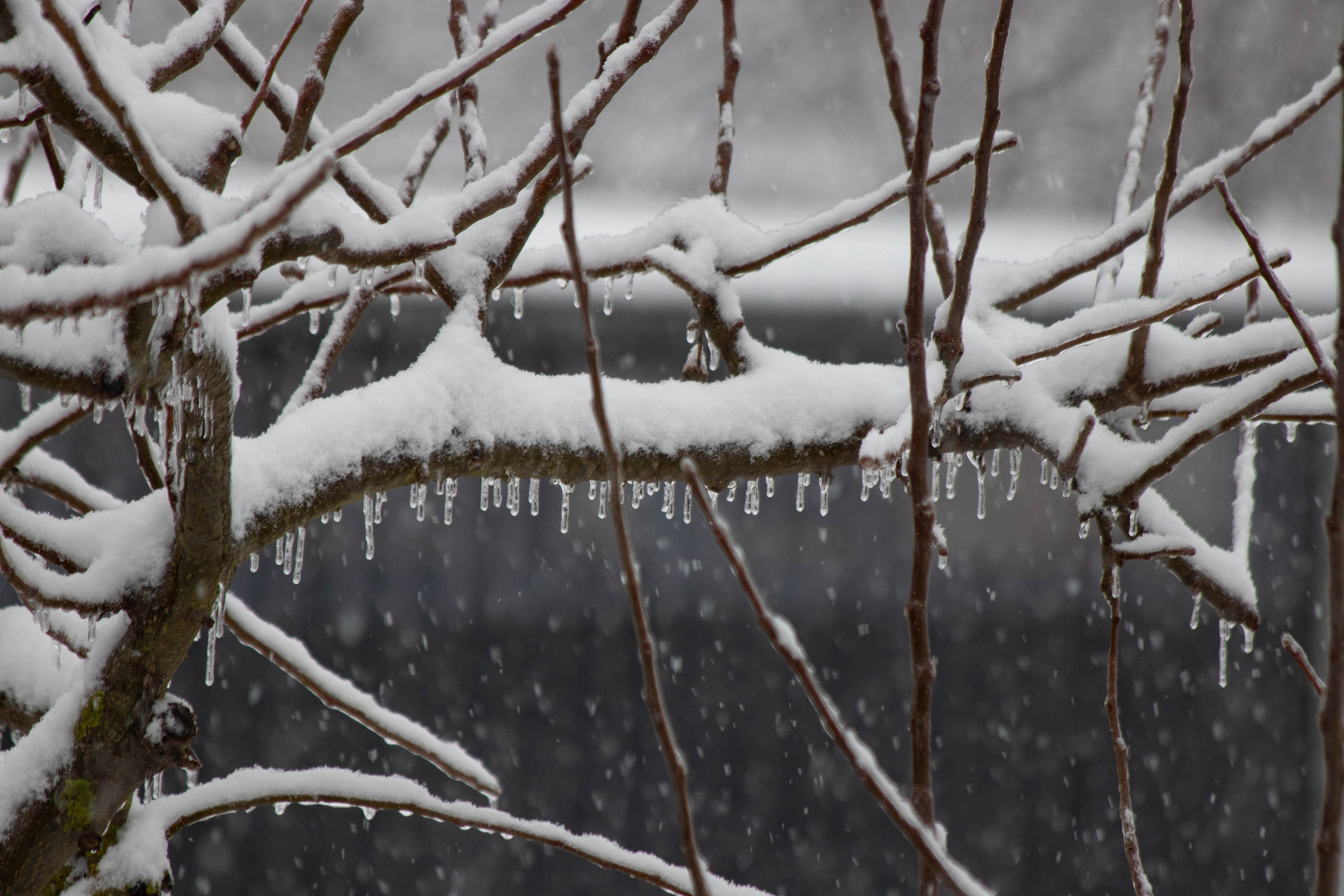 Eis und Schnee