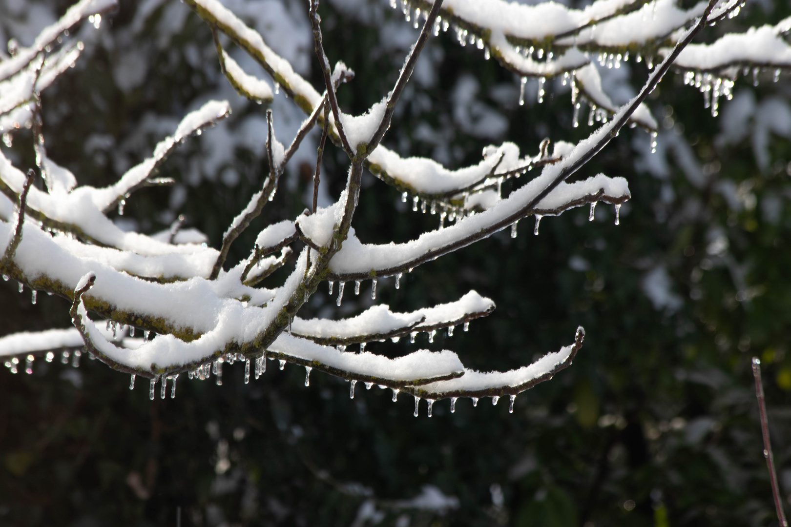 Eis und Schnee