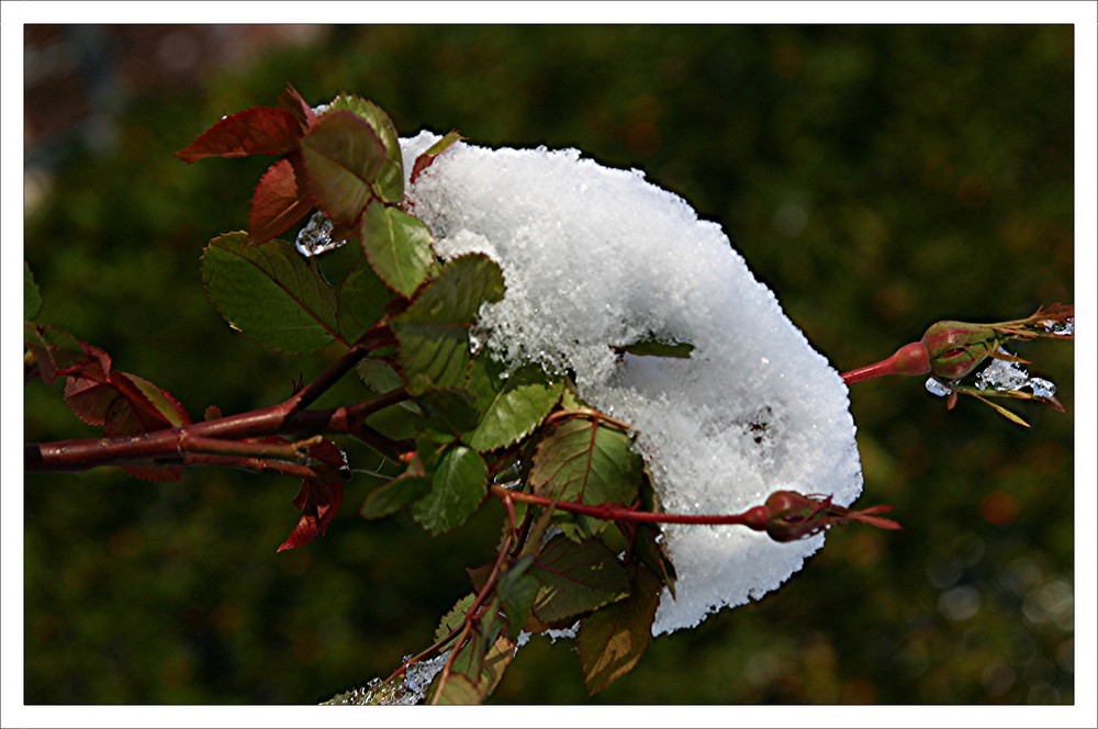 Eis und Schnee