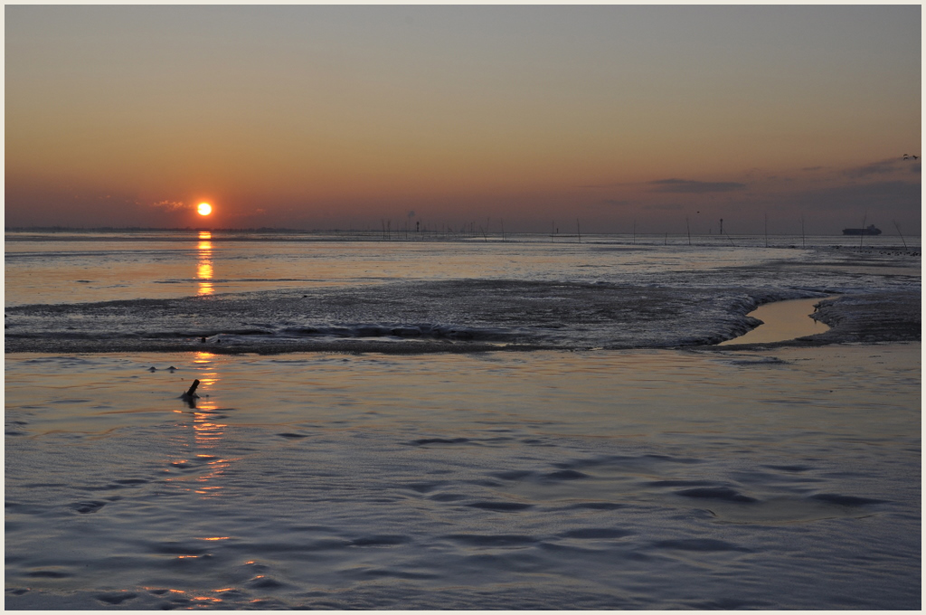 Eis und Schnee im Wattenmeer (26)