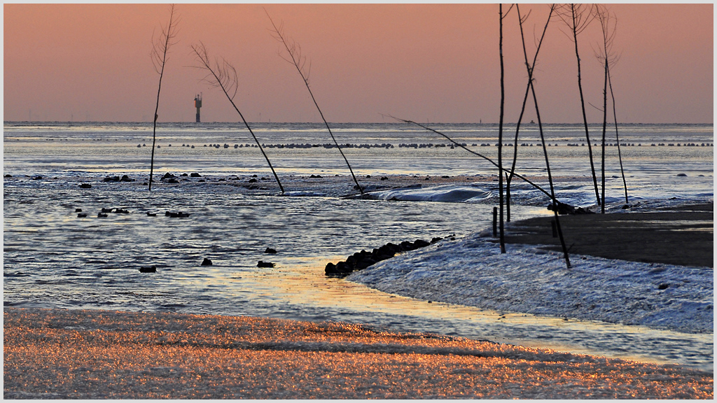 Eis und Schnee im Wattenmeer (29)