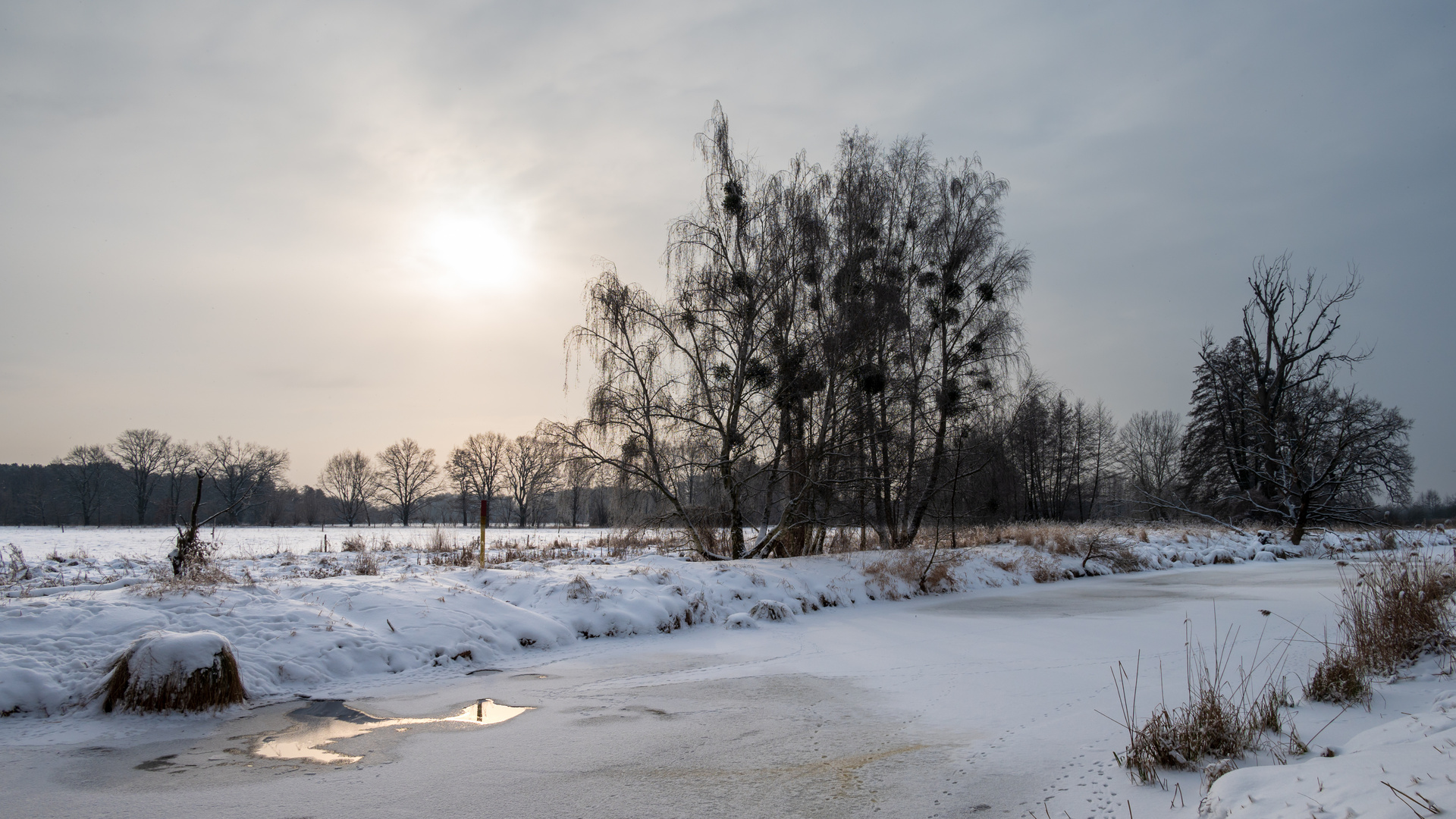 Eis und Sonne