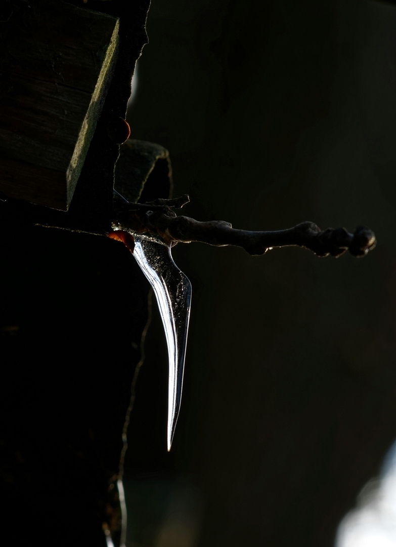 EIS-Vogel in der alternativen Variante