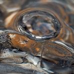 Eis, Wasser, Luftblasen: Makroaufnahme am Bergbach. (1. Foto) - De l'eau, de la glace, de l'air...