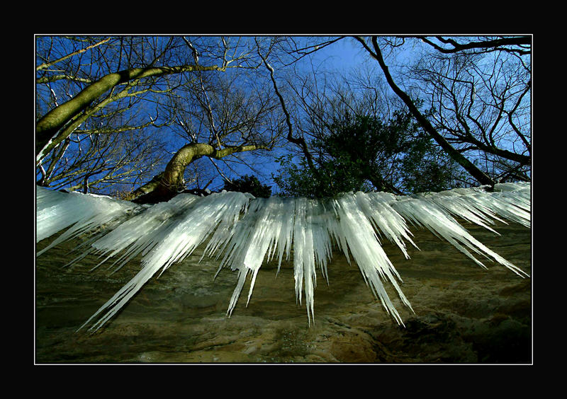 Eis-Wurzeln