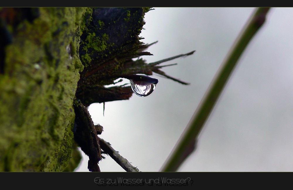 Eis Zu Wasser und Wasser?