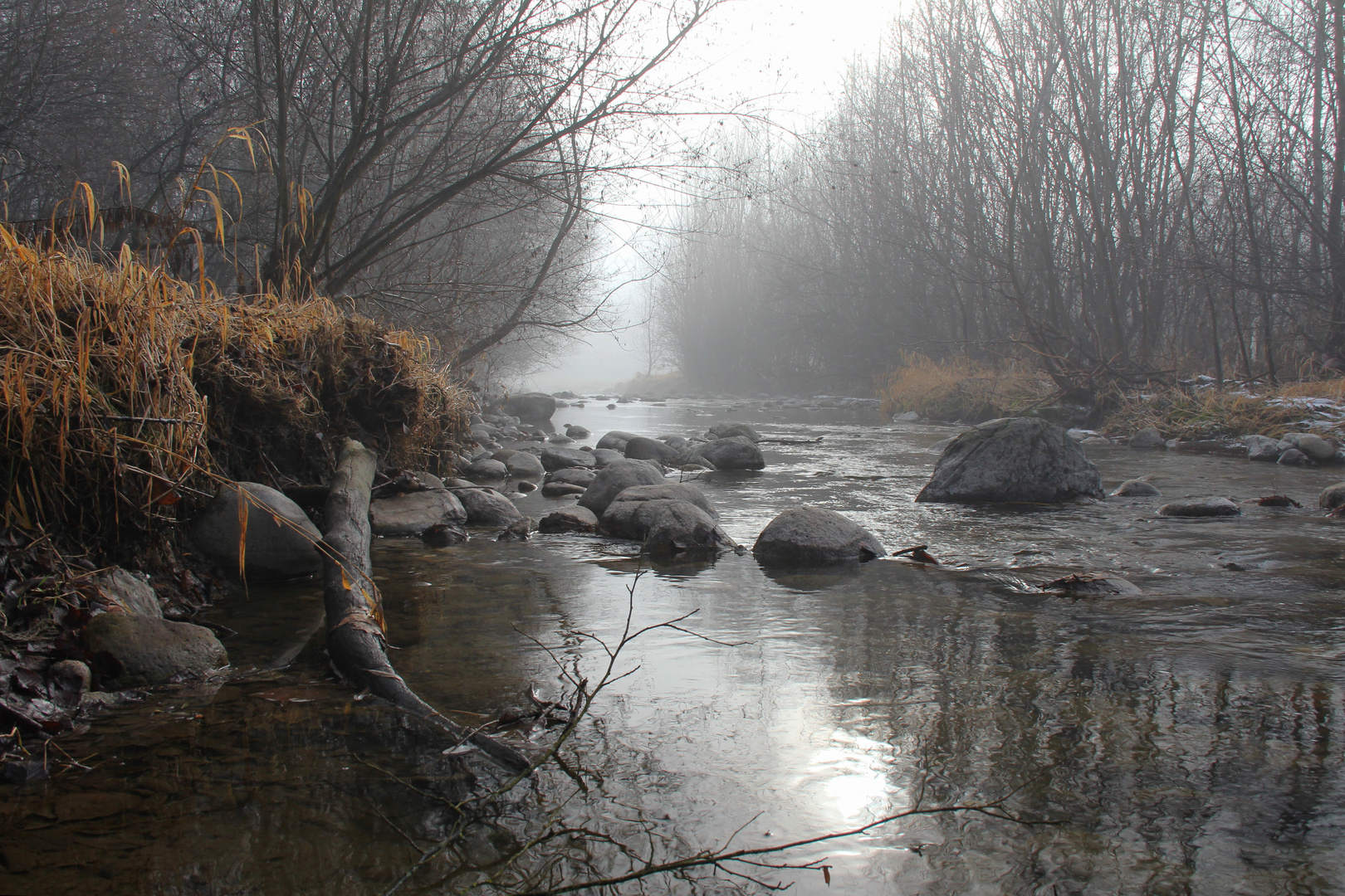 Eisack bei Nebel