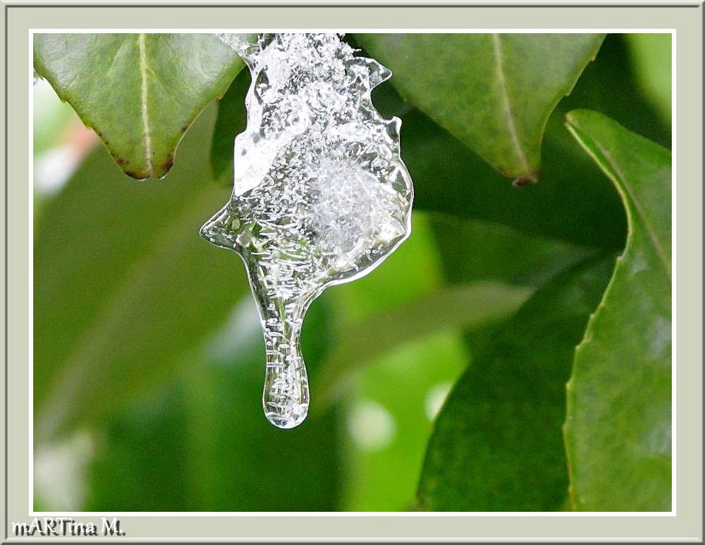 Eisamulett  (mit Gedicht)