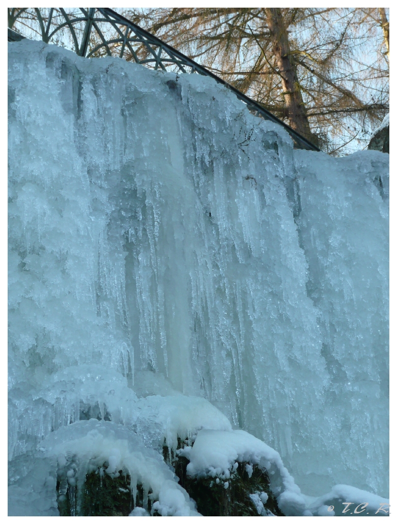 EISARTiger Wasserfall