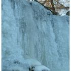 EISARTiger Wasserfall