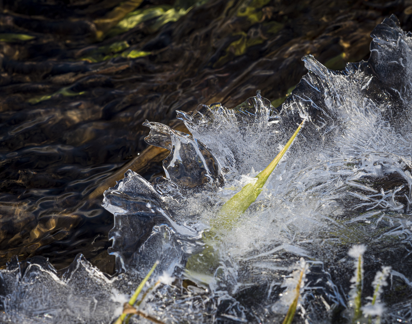 Eisbach 4