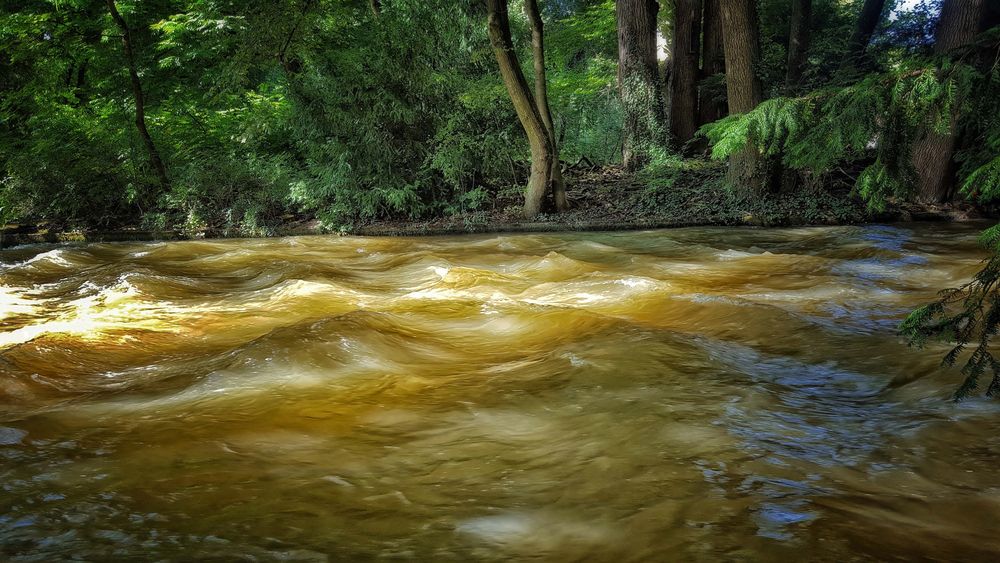 Eisbach München..