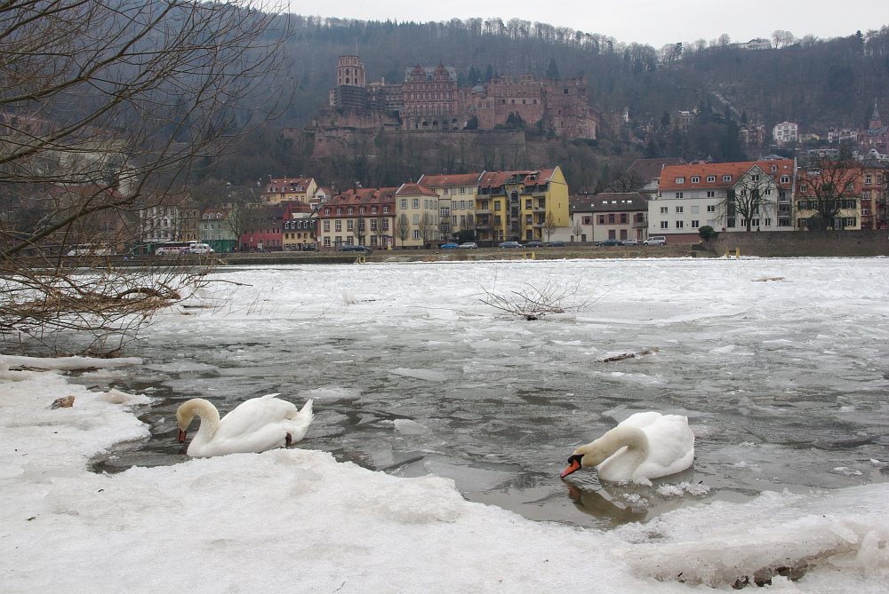 Eisbad im Neckar