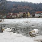 Eisbad im Neckar