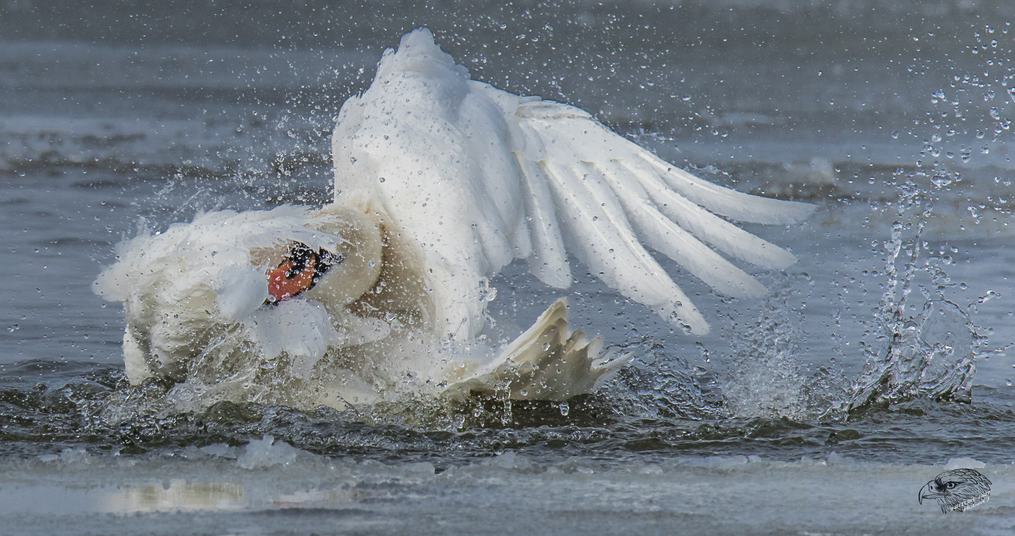 °°°Eisbaden°°°