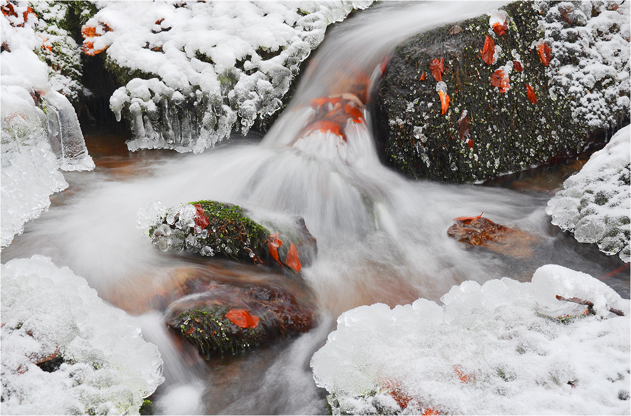 Eisbächlein