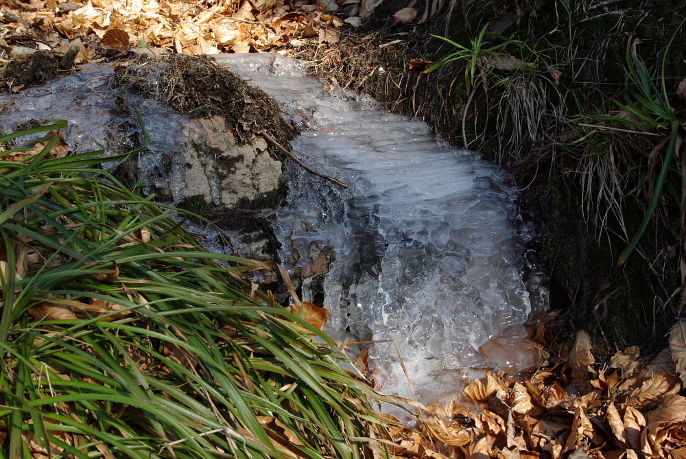 Eisbächlein