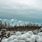 Eisbälle vorm Wolkenhimmel