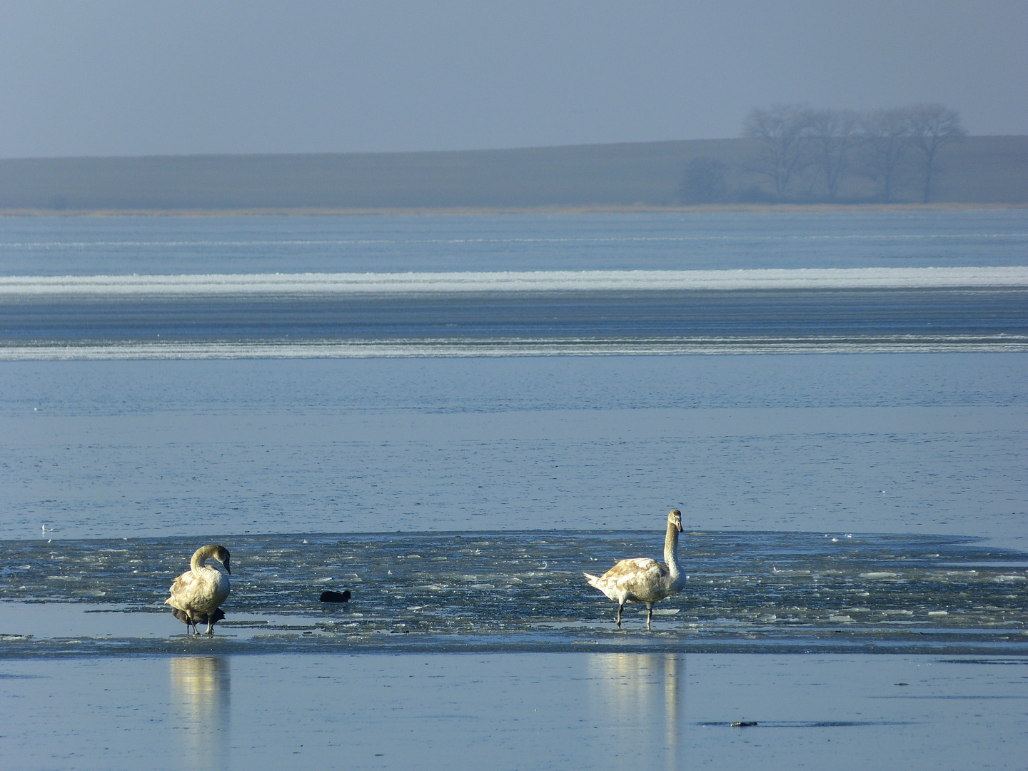 Eisbänke auf dem Bodden