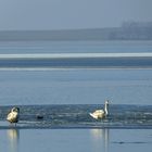 Eisbänke auf dem Bodden