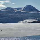 Eisbär auf Spitzbergen