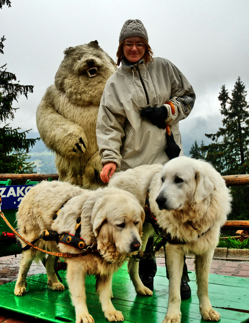 Eisbär aus Zakopane