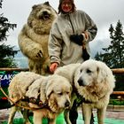 Eisbär aus Zakopane