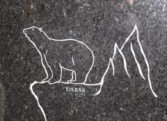 Eisbär