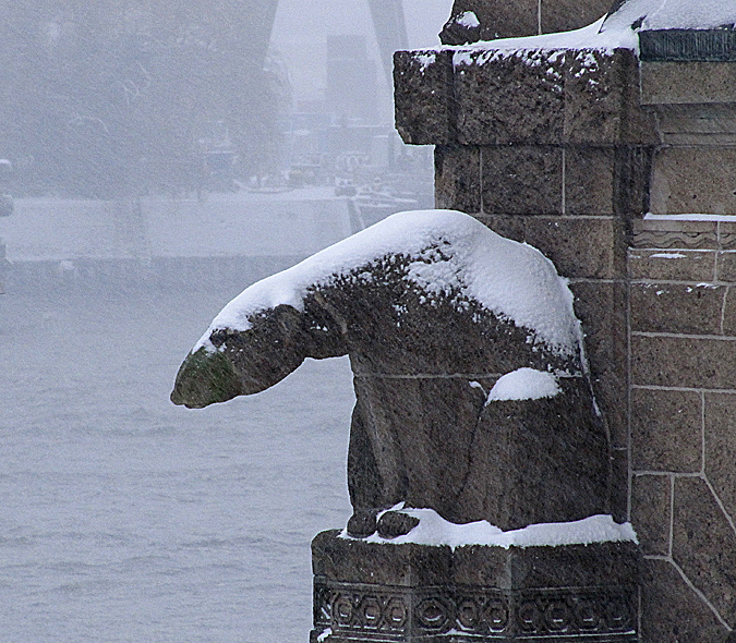 Eisbär