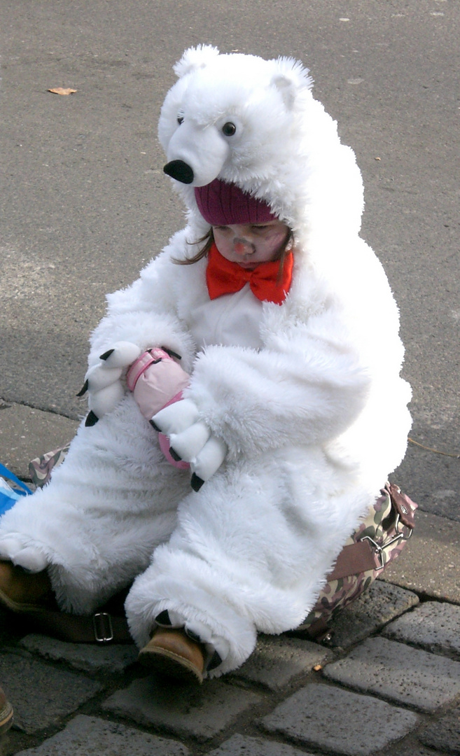 Eisbär hat keine Lust