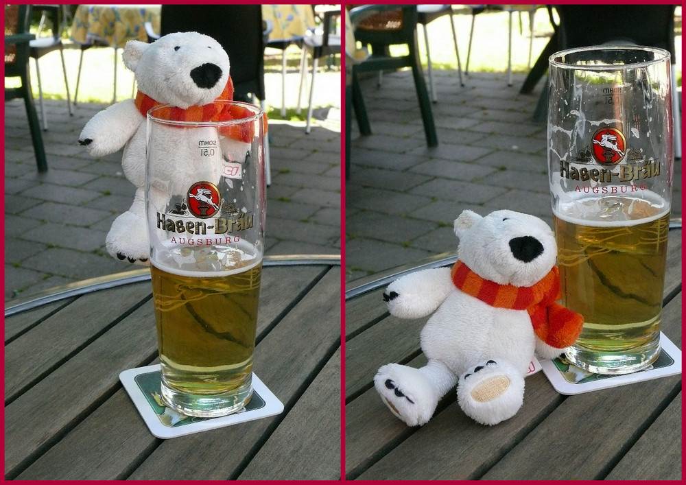 Eisbär im Biergarten