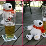 Eisbär im Biergarten