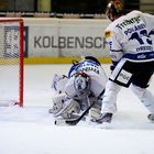 Eisbär im Tor der Eislöwen