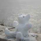 Eisbär in Dresden - Pieschen gesichtet ...