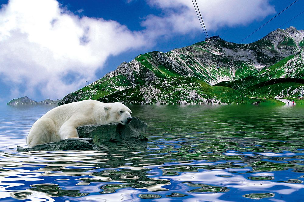 Eisbär in Österreich...