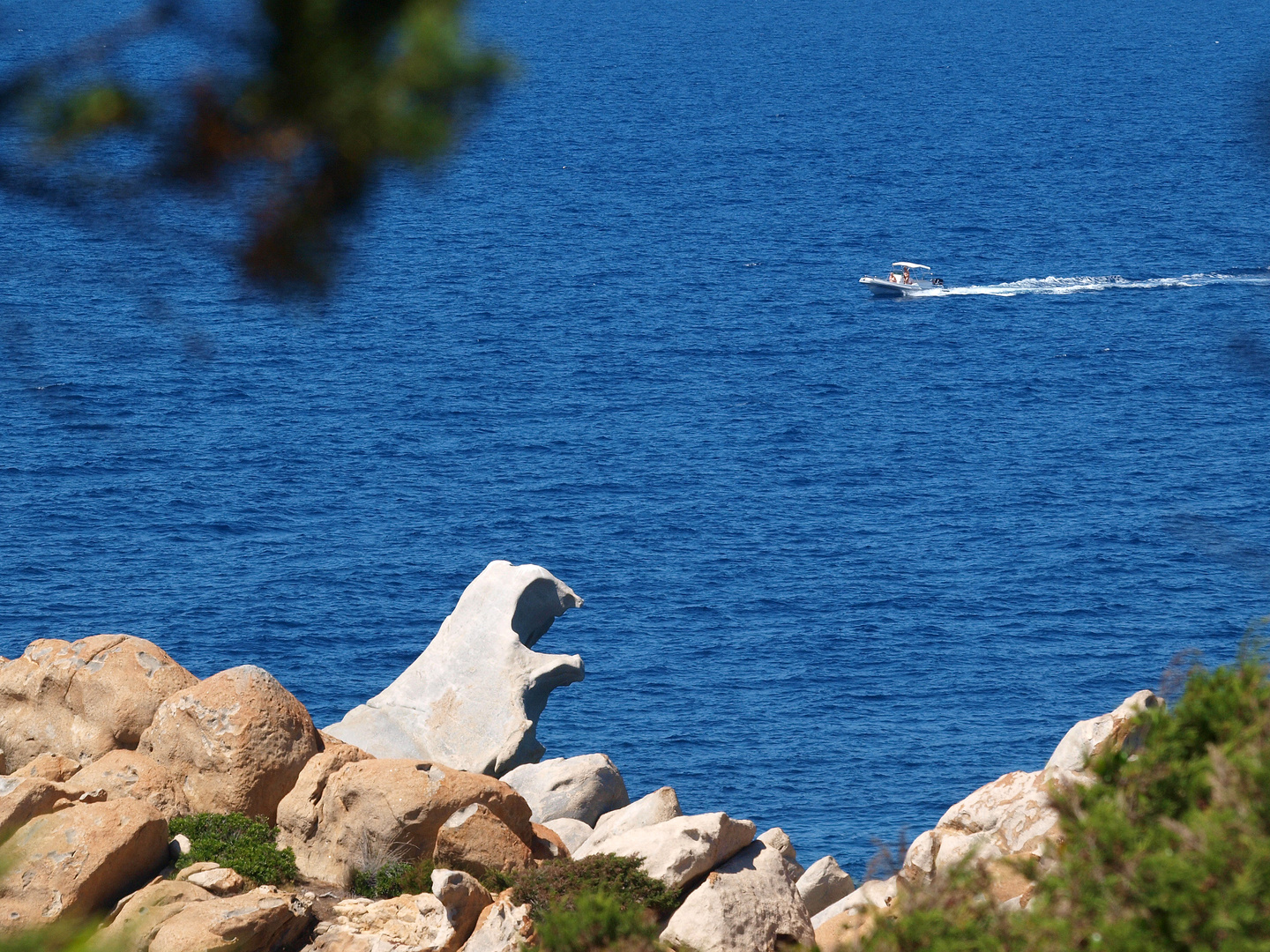 Eisbär vor Korsika