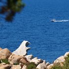 Eisbär vor Korsika