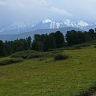 Eisbär?! Wer findet ihn? Im Altai Gebirge Sibirien