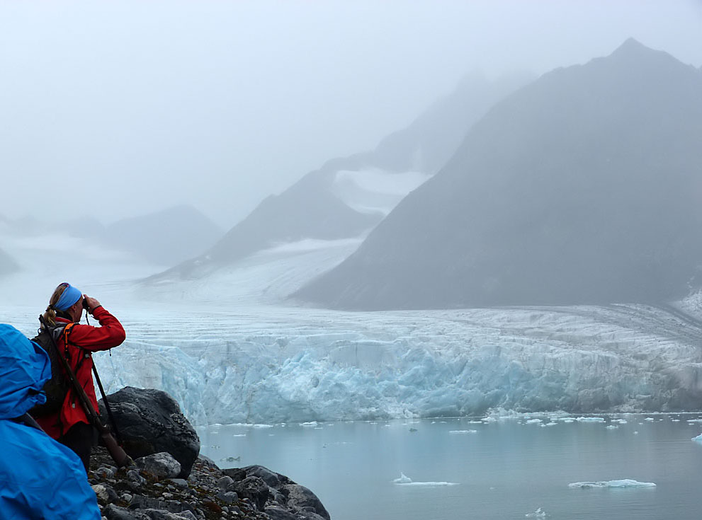 Eisbäralarm am Gully Gletscher