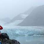 Eisbäralarm am Gully Gletscher