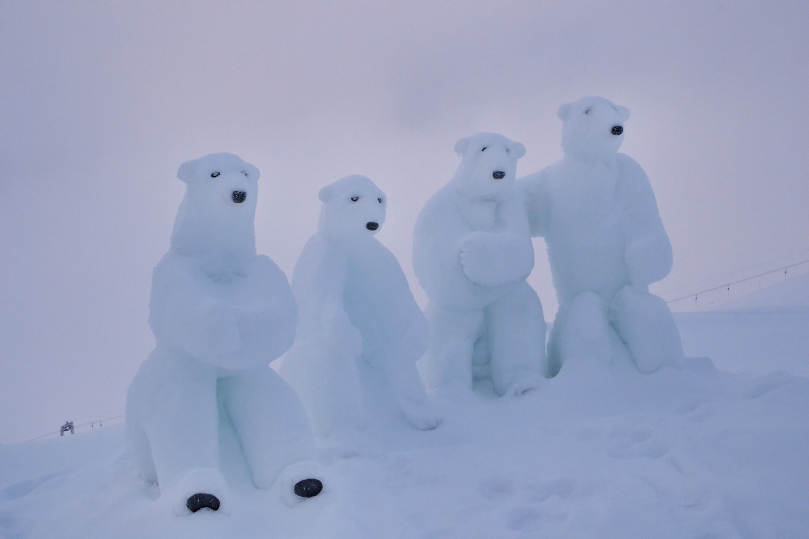 Eisbären auf der Zugspitze